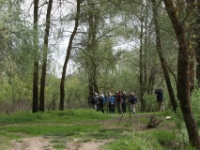 2016-05-14 10h12m11 - Witrugspecht in de kijker - Gerda van der Meer
